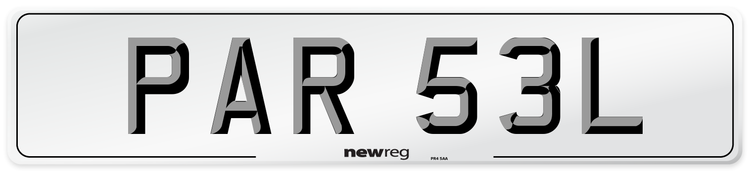 PAR 53L Number Plate from New Reg